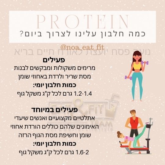 כמה חלבון עלינו לצרוך ביום?